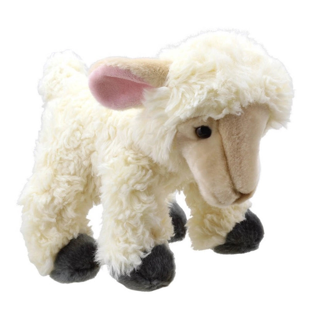 Lamb Soft Toy